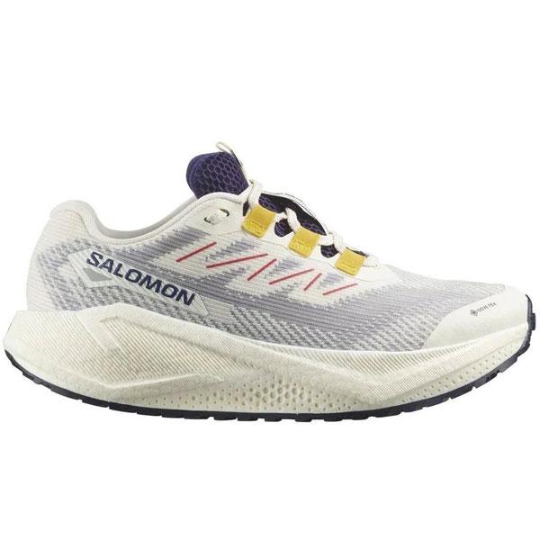 サロモン SALOMON AERO BLAZE 3 GRVL GORE-TEX ウィメンズ トレイルランニングシューズ レディース L47974100