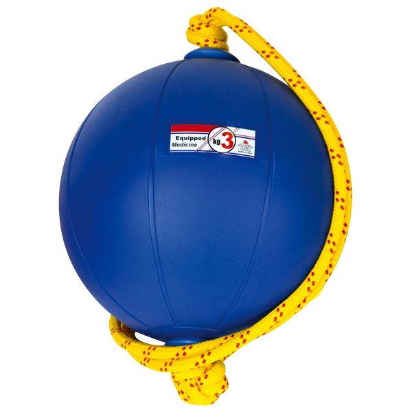 スウィングメディシンボール 3kg F 960 T5913 ニシスポーツ ニシ・スポーツ NISHI スウィングメディシンボール 3kg T5913-960