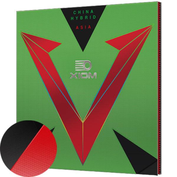 VICTAS ヴィクタス XIOM エクシオン ヴェガ アジア ハイブリッド 卓球 