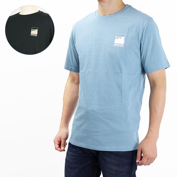 patagonia（パタゴニア） Ms Alpine Icon Regenerative 37400 Tシャツ
