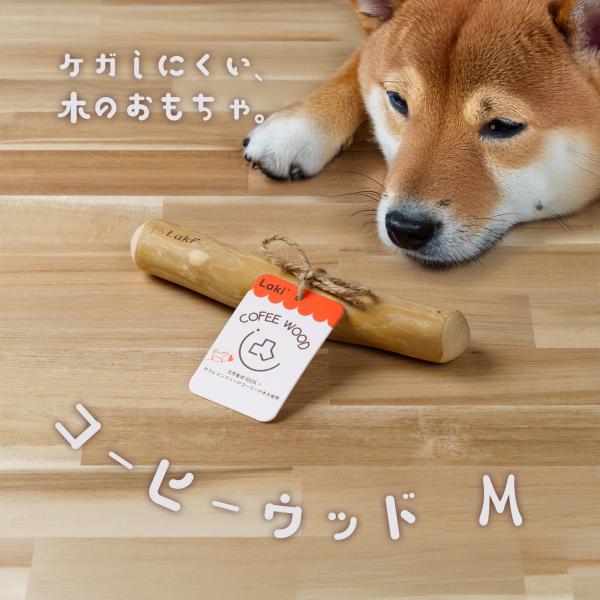 シバ犬とサイタマのコインセット 012-20-453-102_5.jpg