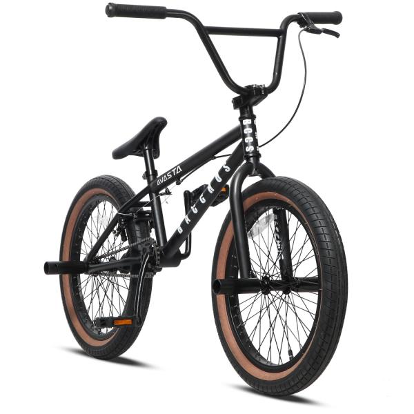 未整備　BACCHUS AVASTA BMX 20インチ 未整備 BACCHUS AVASTA BMX 20インチ