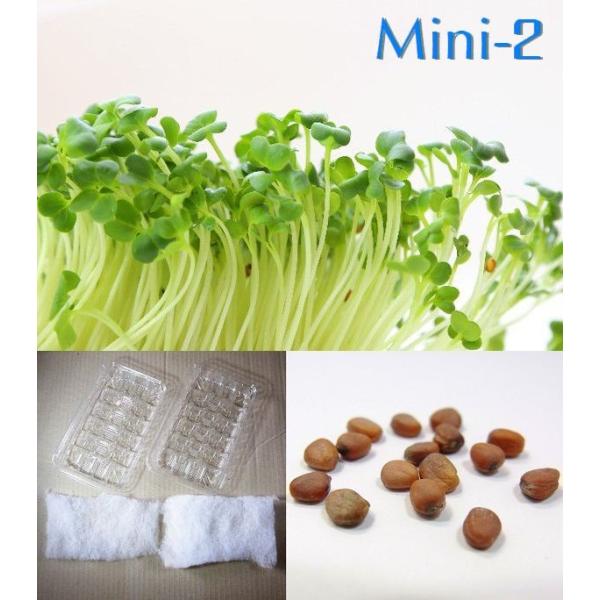 ͔|Nu  卪 k͔|Zbg ~j2