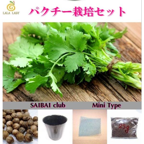 ■メール便送料無料（配送方法で、メール便を選択してください）　■国内トップメーカーの種を使用。農薬は使用されていません。■種、土、ポット、鉢底ネット、栽培説明書がセットされていますので、初心者の方も簡単に栽培できます。■パクチー（コリアンダ...