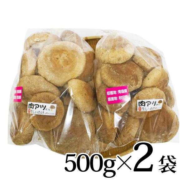 青森県弘前市「株式会社さくらの杜」が生産する農薬不使用、安心・安全で新鮮な「生しいたけ」です。香りはもちろんのこと、ジューシーで美味しい肉厚しいたけ。通常の椎茸と比べてびっくりなボリューム感は２枚目の写真画像にてご確認ください！500g２袋...
