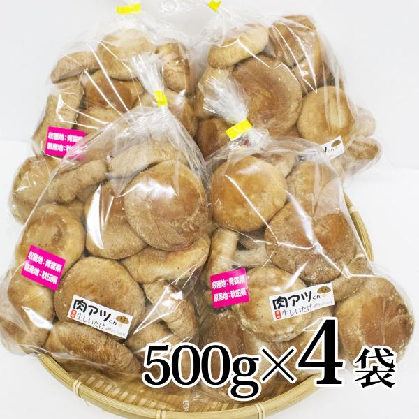 青森県弘前市「株式会社さくらの杜」が生産する農薬不使用、安心・安全で新鮮な「生しいたけ」です。香りはもちろんのこと、ジューシーで美味しい肉厚しいたけ。通常の椎茸と比べてびっくりなボリューム感は２枚目の写真画像にてご確認ください！たっぷり50...