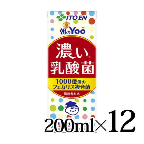 チチヤス 伊藤園 朝のYoo 濃い乳酸菌 紙パック 200ml×12本セット