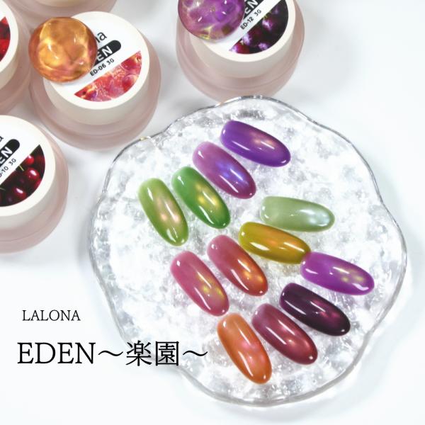 ラローナ [ LALONA ] EDEN〜楽園〜マグネットジェル ( 12色セット
