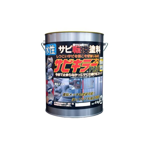 BAN-ZI TrL[v 4kg Vo[