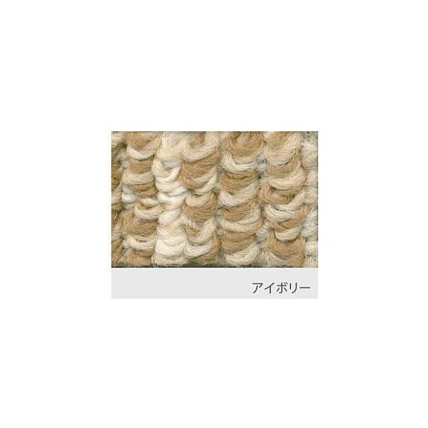 X~mG ۊJ[ybg B  AC{[  ]ˊ 10 352×440cm SO-2300 u[J[EsEuzsv