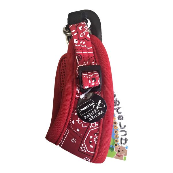 Jm }CX^[vX ͂߂Ă̂ S o_i MP2002R p