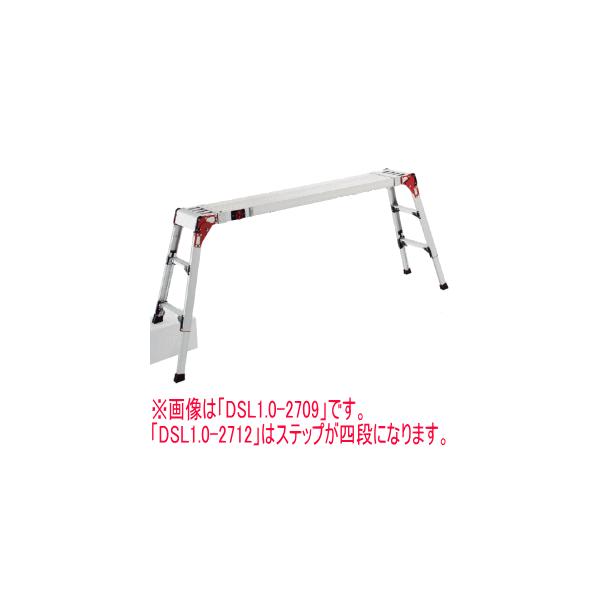 u@lvJH XmR VErLk DSL1.0-2712 u[J[EsEuzsEznv