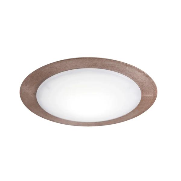 スワン電器 LED小型シーリングライト CE-1004BR