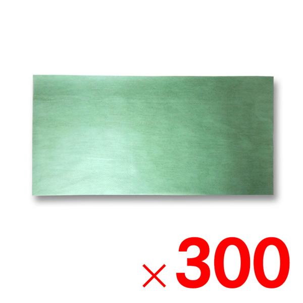 {[ؐ lg}[2 300 u[J[EsEuzsEznv