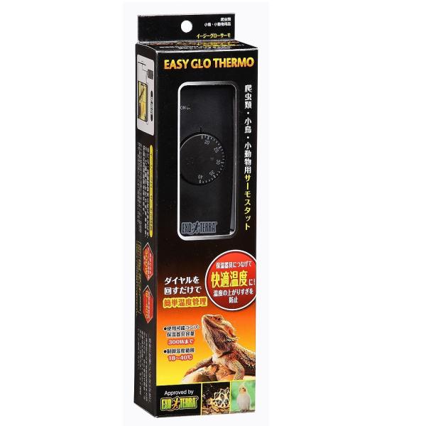 WFbNX GEX GL]e C[W[O[T[