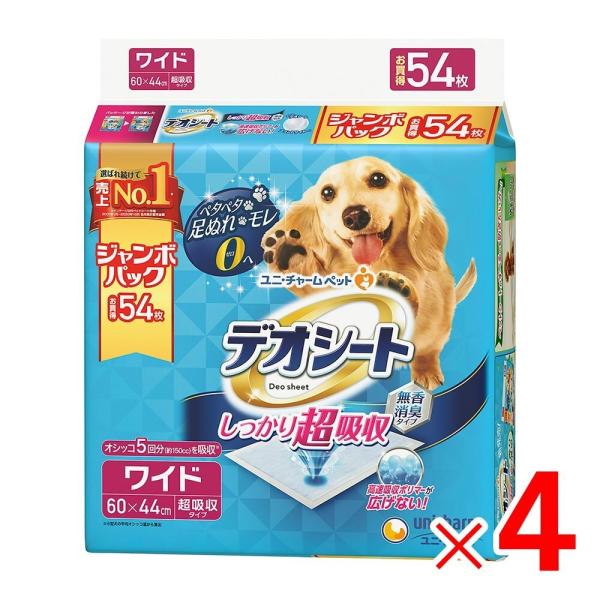 jE`[ fIV[g 蒴z L^Cv Ch 54 ×4pbN P[X̔