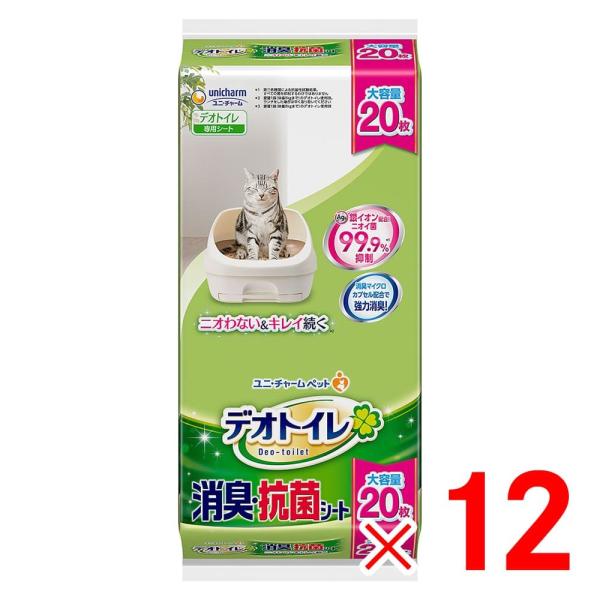 jE`[ fIgC LERۃV[g 20 ×12 P[X̔