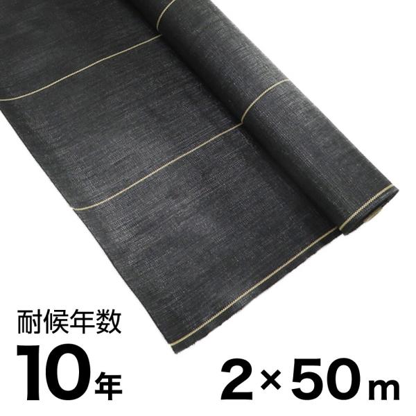 ARCLANDS 防草シート 2m x 50m 10年耐久 耐候年数約10年の防草シート ブラック 2×50m アークランズ 「大型便