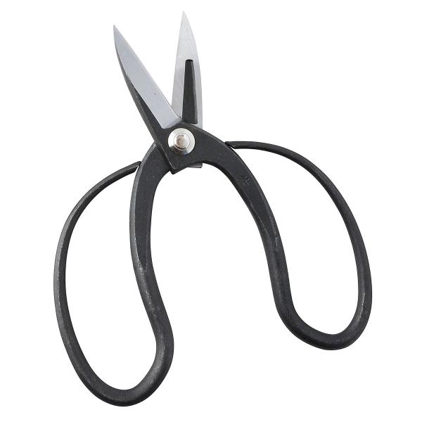 Tt[t@Ng[ v ؂낱 726190