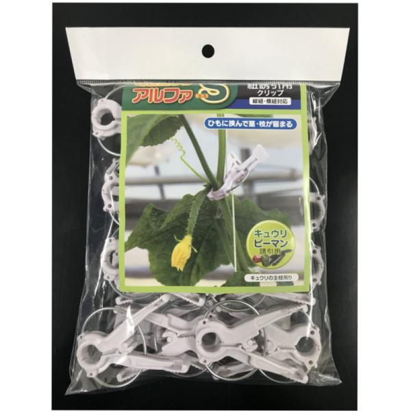 V[ At@S RUp 24P AS-P24