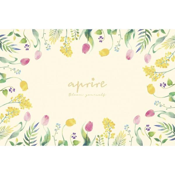 LveX^bO Av[ \tgNbVW[V[g90×60cm OE UT-1014