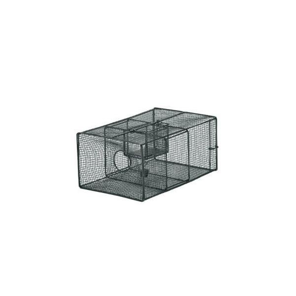 hH hqY lY~߂ A type No.102 NZ-2