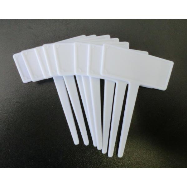 R |T^x  8 727663 A[NY