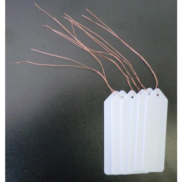 R |݂莮xij  6 727668 A[NY