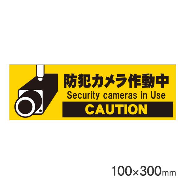 �T�C���v���[�g �h�ƃJ�����쓮�� H100×W300mm P3010-51 �A�[�N�����Y