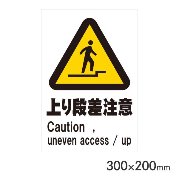 TCv[g i H300×W200mm P3020-77 A[NY