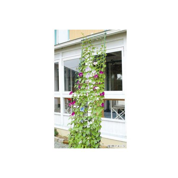 DAIM rj[ ΂̃J[e 3mLk Ch800 _[NO[ O[J[e