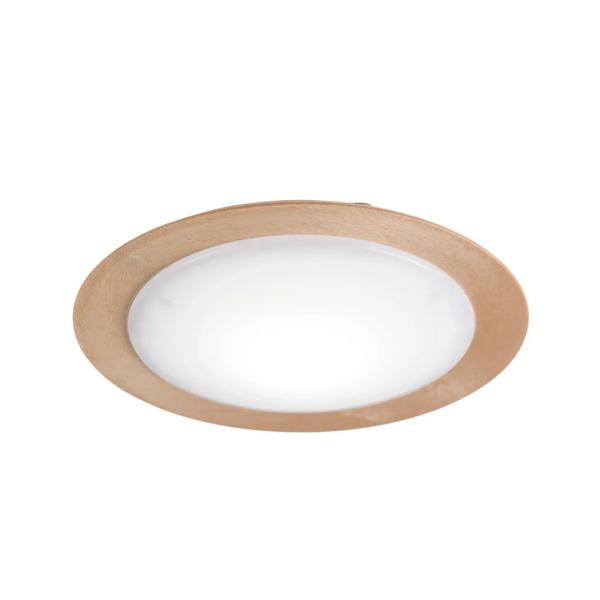 スワン電器 LED小型シーリングライト CE-1004NA