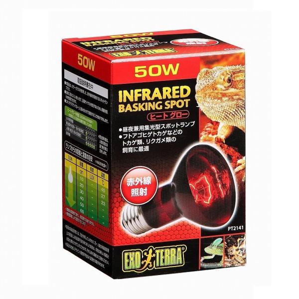 WFbNX GEX GL]e q[gO[ ԊOƎ˃X|bgv 50W PT2141