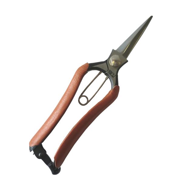 ORn SYU n 200mm {̉Ԑ M200