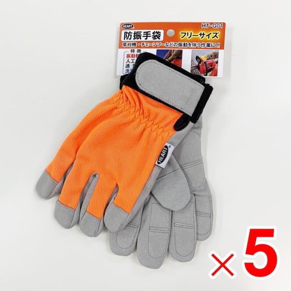 n[gtWp Uy t[TCY HT-G01 ×5o Zbg̔