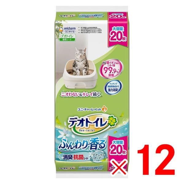 jE`[ fIgC ӂ荁LERۃV[g i`K[f̍ 20 ×12 P[X̔