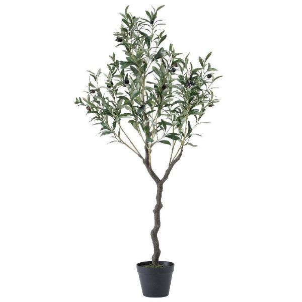 Spice フェイクグリーン オリーブの木 1cm Cxgk1013 同梱不可 Pindo Com Py