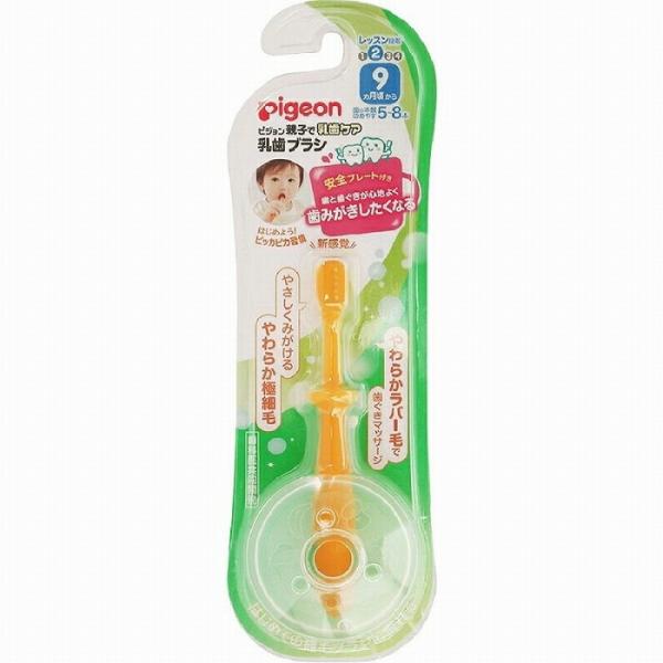 sW uV bXiK2 xr[uV V Ԃ xr[pi pigeon