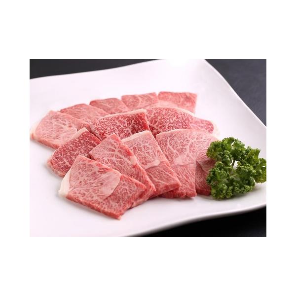 ō A5N ꋍ ēp Jr 800g ~ Xe[L   јa  _ƒ R