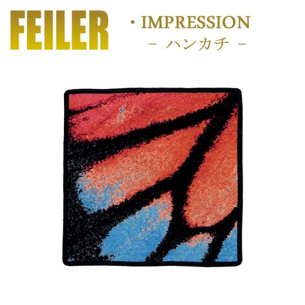 Feiler tFC[ nJ` CvbV IMPRESSION 30cm×30cm