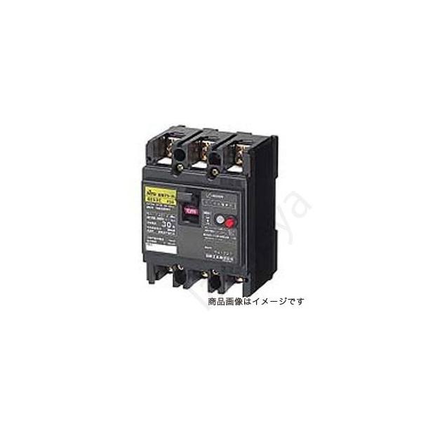 日東工業 漏電ブレーカ GE52C 2P 50A F30（表面形）GE52C2P50AF30 日東