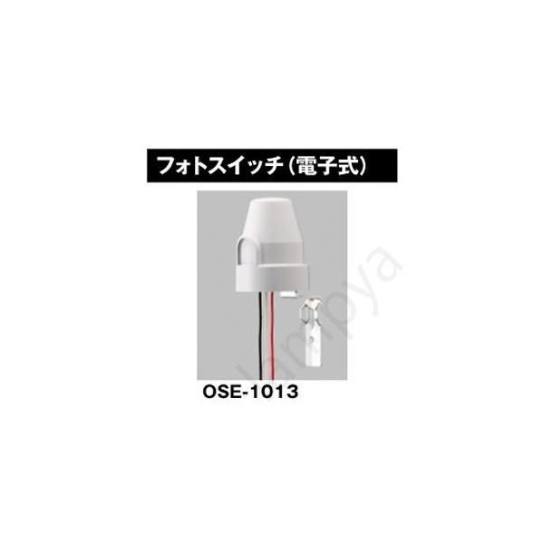LEDhƓ tpIvV tHgXCb` OSE1013 ŃCebN