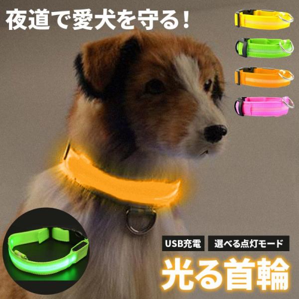 光る首輪 犬 首輪 光る LED 犬用 猫用 ペット 夜間 散歩 事故防止 安全対策 視認性 おしゃれ かわいい かっこいい 小型犬 中型犬 ポイント利用 爆買