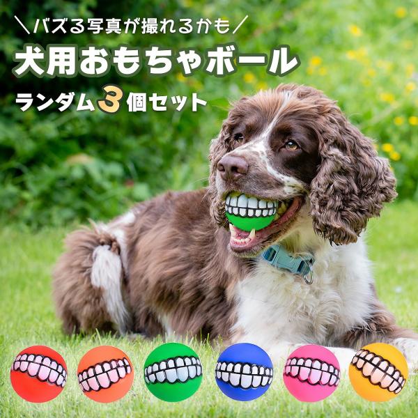 犬用おもちゃ ボール ランダム色3個セット SNS映え 音がなる ソフトゴムボール 歯 面白い いい写真が撮れる インスタ映え ポイント利用 爆買