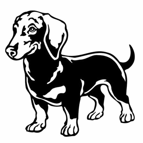 車 ステッカー 犬 ダックス ダックスフント給油口 おもしろ バイク かっこいい カー用品 かわいい シール おしゃれ 転写式 黒 送料無料