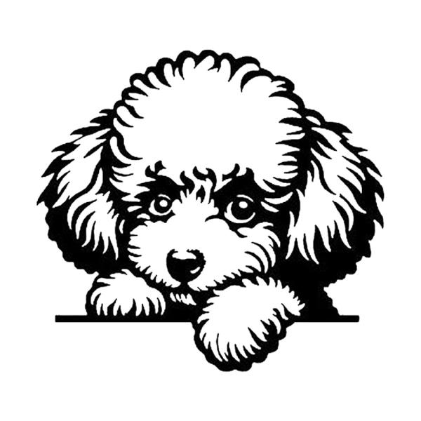 車 ステッカー トイプードル 犬 ドッグ 給油口 おもしろ バイク かっこいい カー用品 かわいい シール おしゃれ 転写式 黒 送料無料