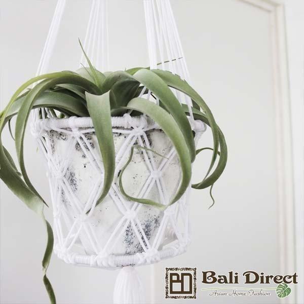 ハンギングプランター 吊り下げ プラントハンガー ホワイト Z9511e Z9511e ランドマーク 通販 Yahoo ショッピング