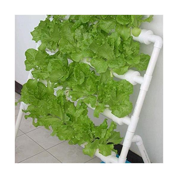 水耕栽培キット 庭園栽培 レタス栽培 水菜栽培 野菜栽培 栄養液栽培 縦型 4パイプ36穴 Buyee Buyee 提供一站式最全面最專業現地yahoo Japan拍賣代bid代拍代購服務 Bot Online