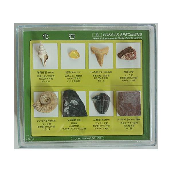 ■システム反映の都合上、ご購入後でも品切れになっている場合があります。その場合、ご登録のメールアドレスに通知致します。必ずご確認をお願いします。■サイズ・カラー等の記載が無い場合や複数記載がある場合があります。ご不明点は、ご購入前にご質問く...