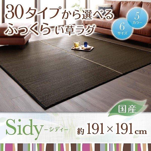 い草ラグ 191 × 30タイプから選べる国産ふっくら : LANRANヤフー店